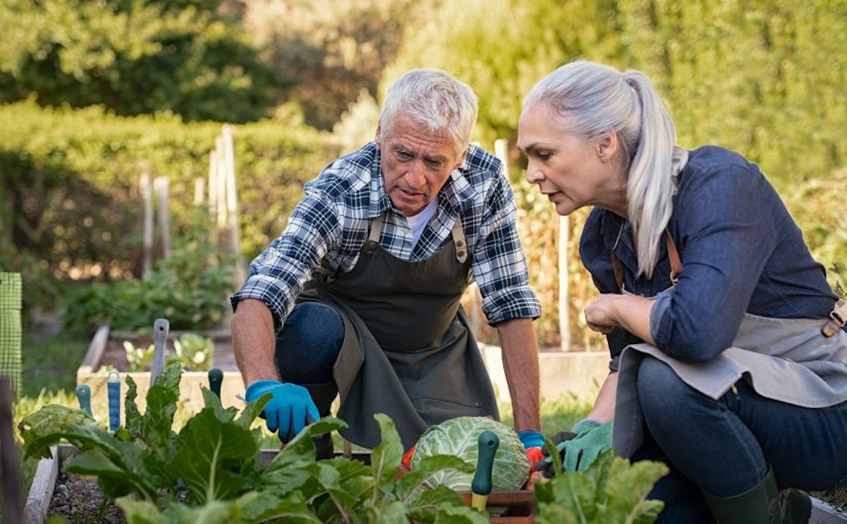 Homesteading After Retirement: Part 1